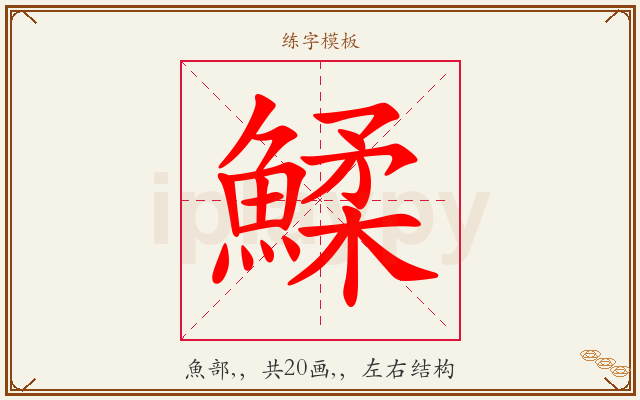 鰇字图文介绍