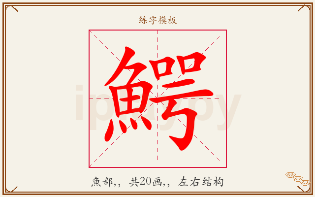 鰐字图文介绍