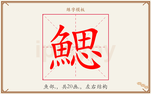 鰓字图文介绍