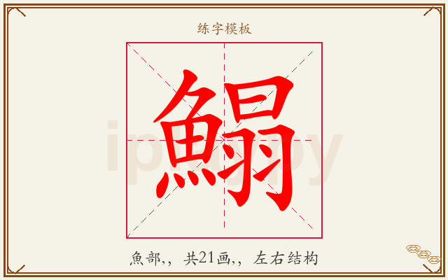 鰨字图文介绍