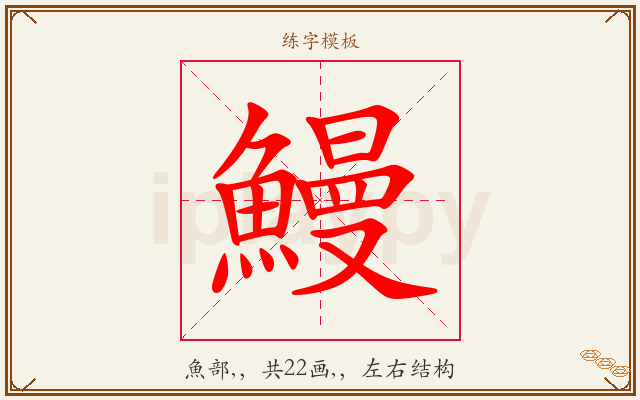 鰻字图文介绍