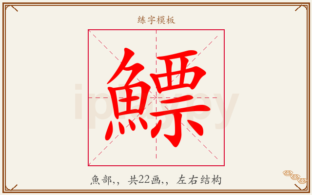 鰾字图文介绍