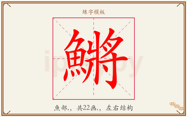 鱂字图文介绍