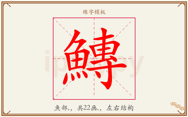 鱄字图文介绍
