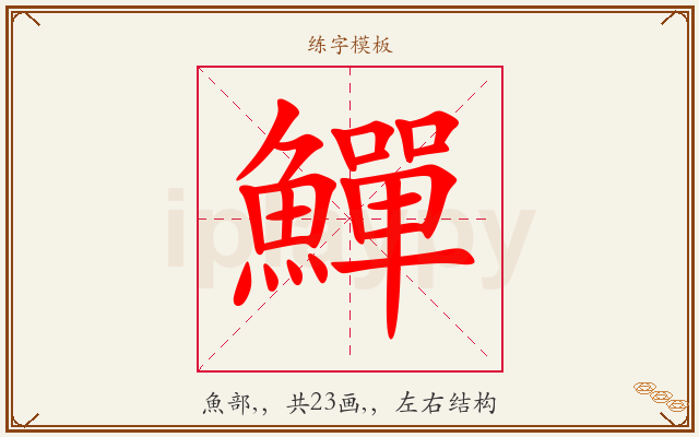 鱓字图文介绍