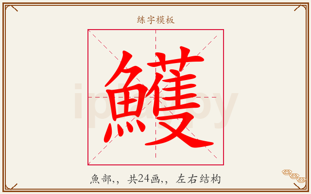 鱯字图文介绍