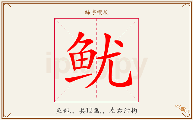 鱿字图文介绍