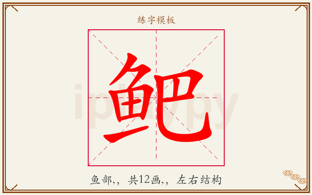 鲃字图文介绍