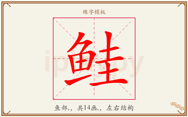 鲑字图文介绍