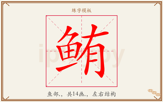 鲔字图文介绍