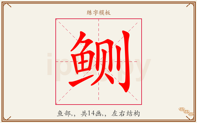 鲗字图文介绍
