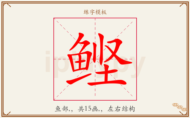 鲣字图文介绍