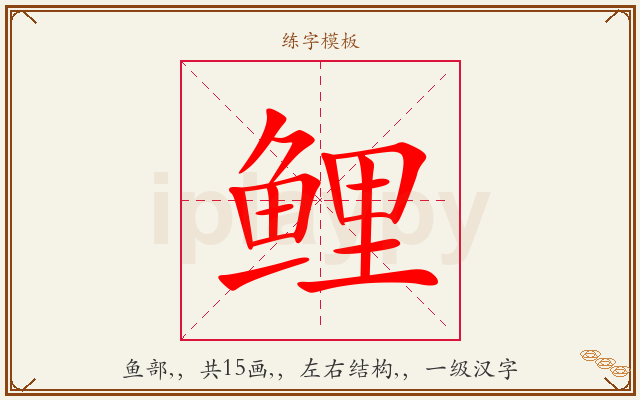 鲤字图文介绍