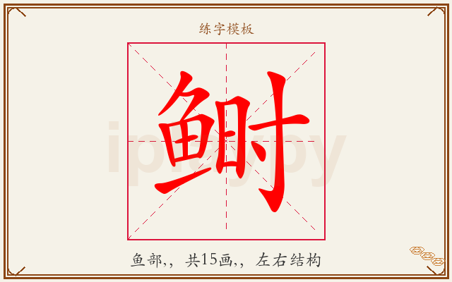 鲥字图文介绍