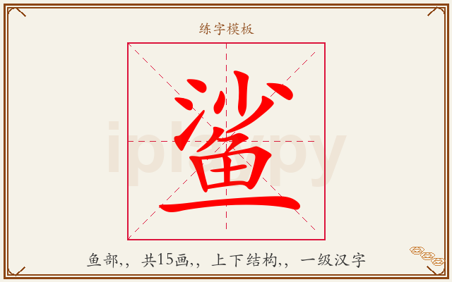 鲨字图文介绍