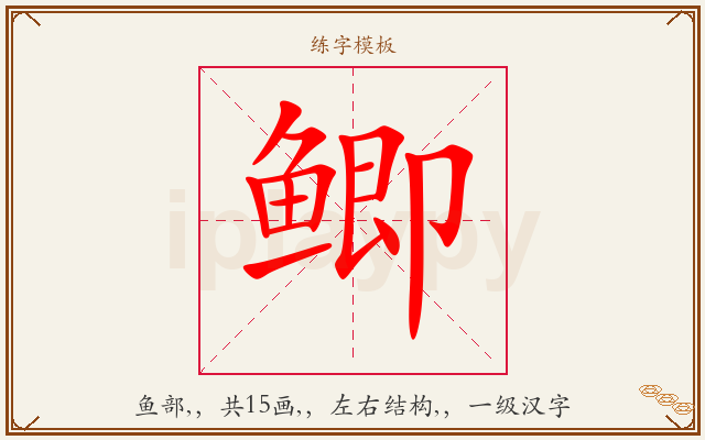 鲫字图文介绍
