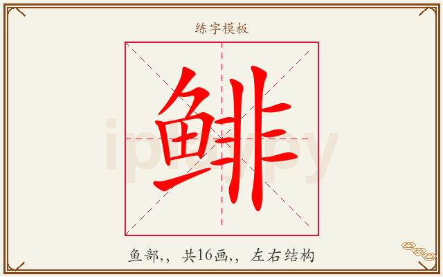 鲱字图文介绍