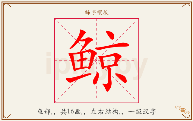 鲸字图文介绍