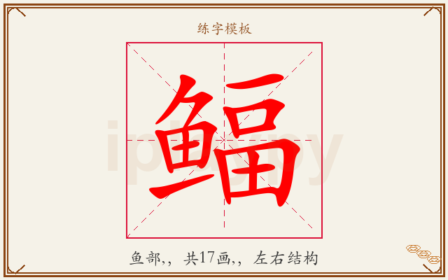 鲾字图文介绍