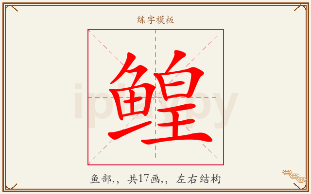 鳇字图文介绍