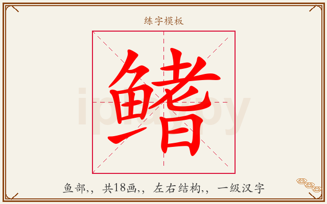 鳍字图文介绍