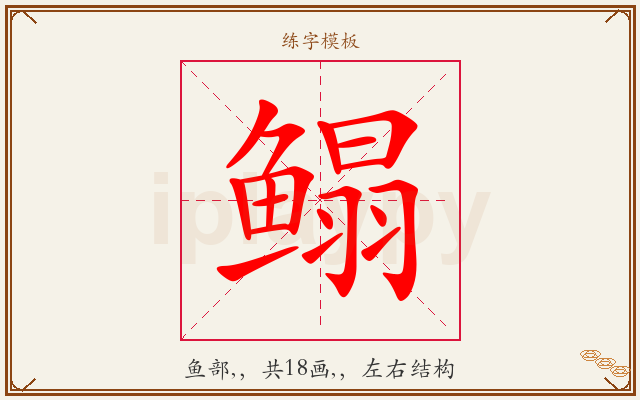 鳎字图文介绍