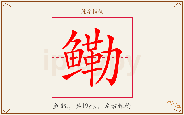 鳓字图文介绍