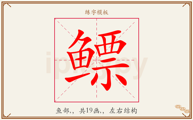 鳔字图文介绍