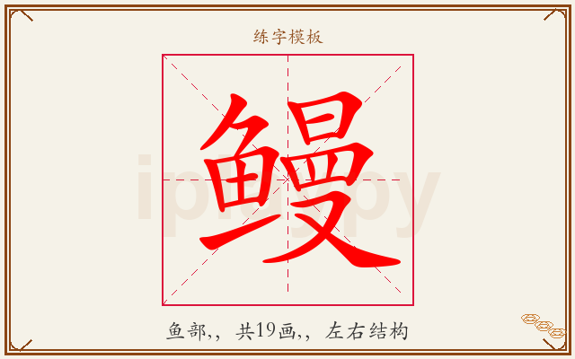 鳗字图文介绍