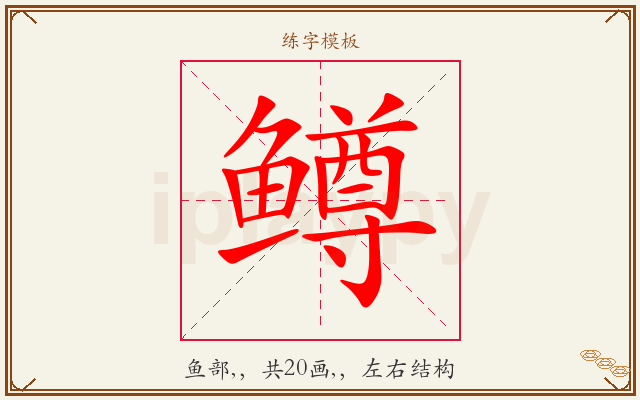 鳟字图文介绍