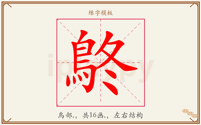 鴤字图文介绍
