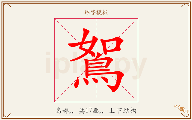 鴽字图文介绍