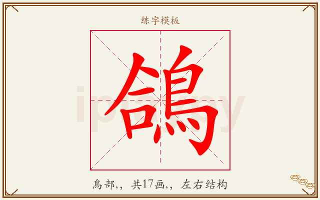 鴿字图文介绍