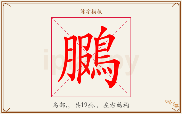鵩字图文介绍