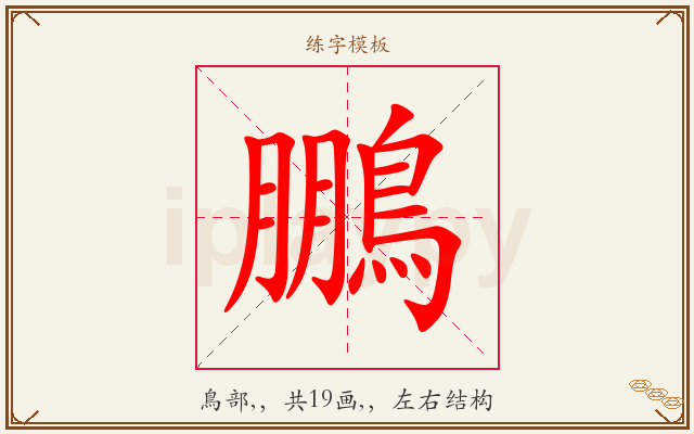 鵬字图文介绍