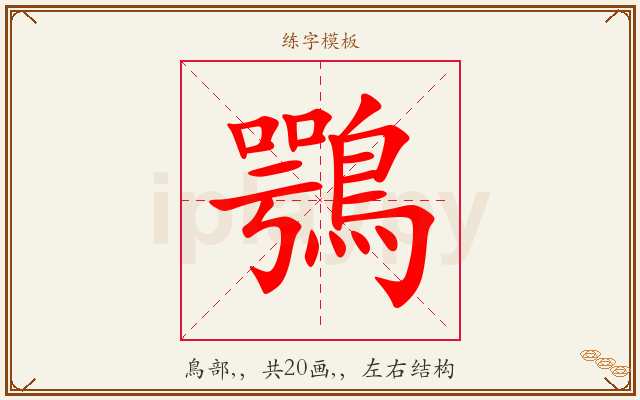 鶚字图文介绍