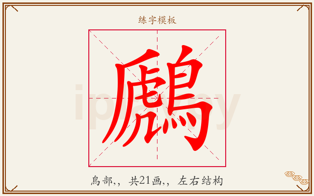 鷉字图文介绍