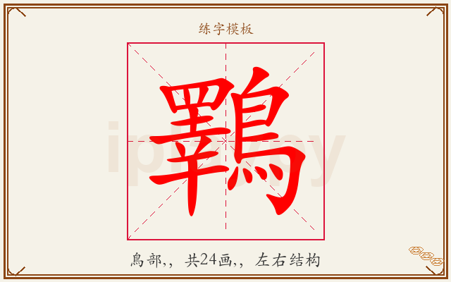 鸅字图文介绍