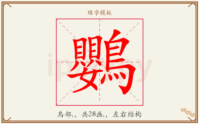 鸚字图文介绍