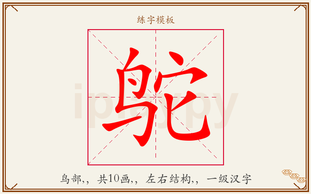 鸵字图文介绍