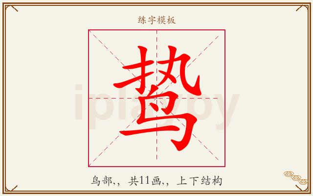 鸷字图文介绍