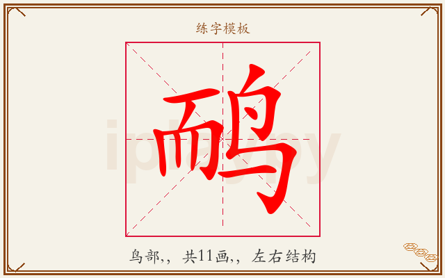 鸸字图文介绍