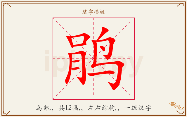 鹃字图文介绍