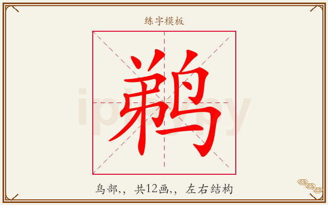 鹈字图文介绍