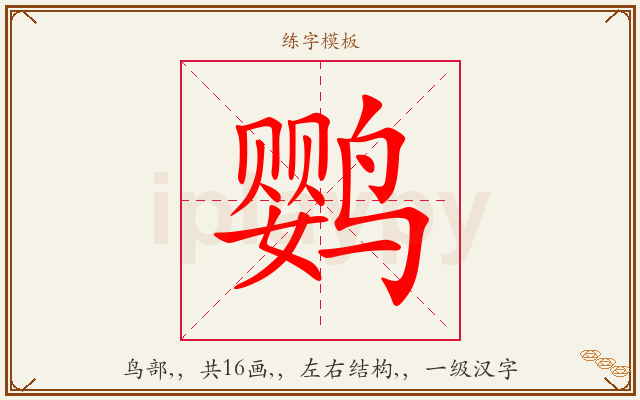 鹦字图文介绍