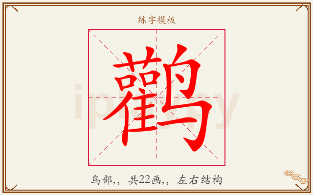 鹳字图文介绍