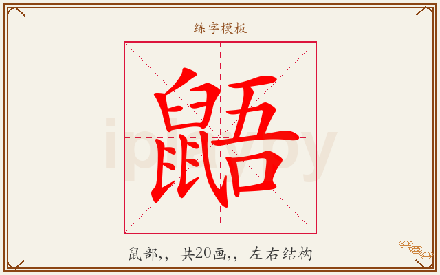 鼯字图文介绍