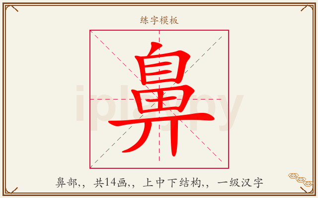 鼻字图文介绍